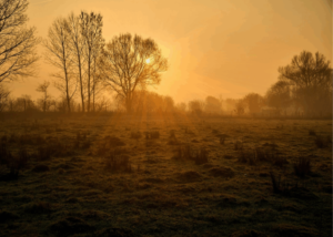 Misty sunrise over rural Zimbabwean farmland