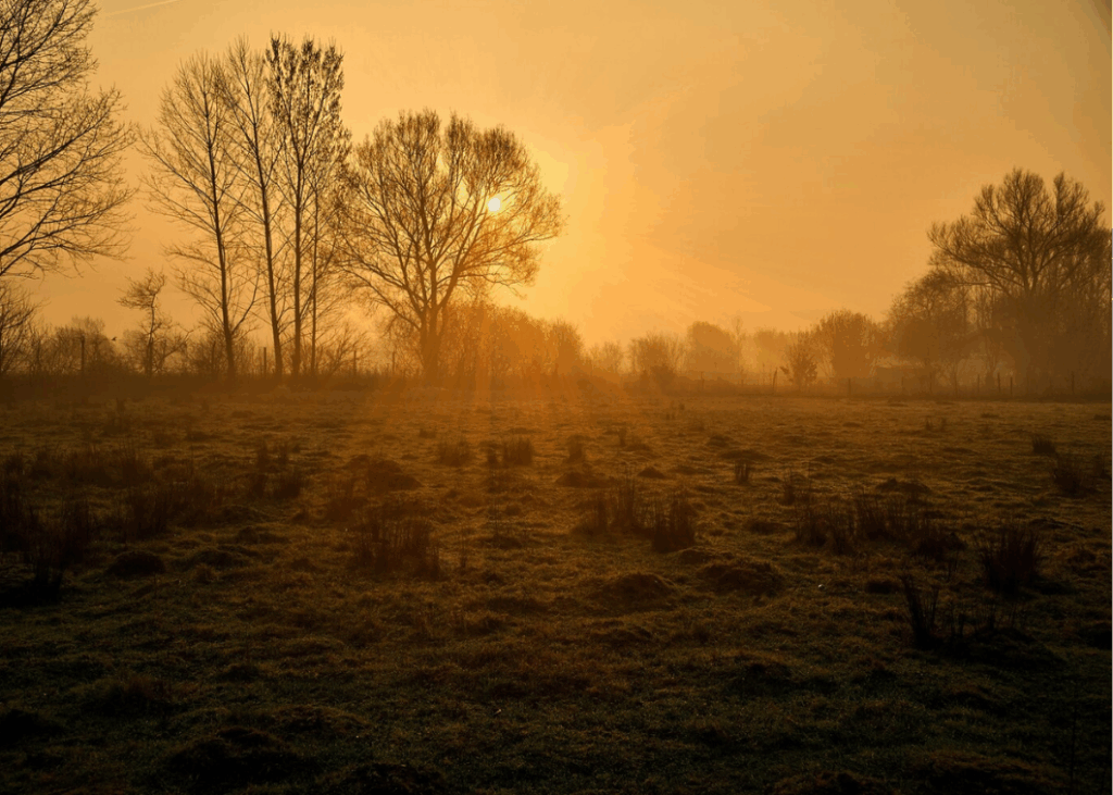 Misty sunrise over rural Zimbabwean farmland